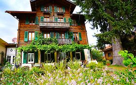 Edelweiss Lodge